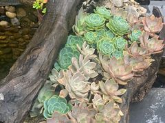 -炊烟餐厅