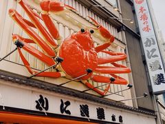 -蟹道乐(道顿堀本店)