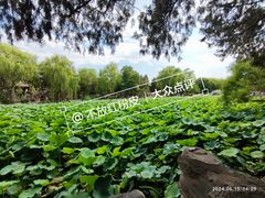 -莲池书院博物馆