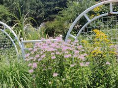 -北京植物园南门售票处