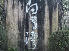 -白鹭湾湿地公园
