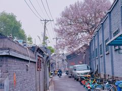 -奶油日报Journal de creme