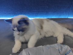 -零纪元VR体验馆·桌游(黄浦店)