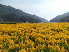 -广州市石门国家森林公园