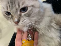 -藏猫猫咖啡主题馆(中央大道店)