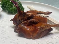 红烧乳鸽-绿岛国际酒店·海鲜酒楼(八七路店)