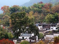 -塔川景区