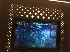 -星璨火吧KTV聚会餐厅(丰庆路店)