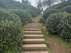 -十里琅珰