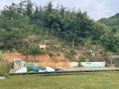 -百果山乐享果玩