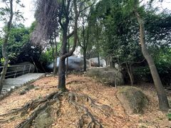 -火炉山森林公园