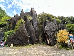 -玉石林风景区