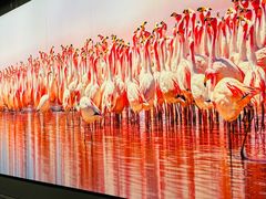 -罗红摄影艺术馆