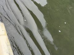 -九曲溪竹筏码头