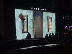 -BLACKSWAN黑天鹅(环球店)