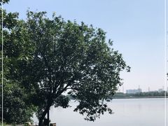 -海珠湖公园