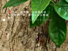 -青龙山国家森林公园