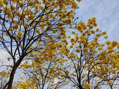 -中国移动南方基地