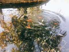 -水磨沟公园
