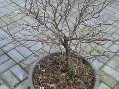 -宜昌富力皇冠假日酒店·咖啡1号西餐厅