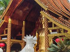 -西双版纳傣族园-曼春满佛寺