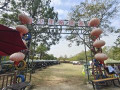 -大塘金香草谷