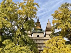 -北京石刻艺术博物馆(五塔寺)