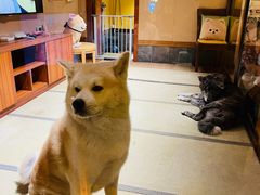 -大江户·温泉洗浴(浑南店)