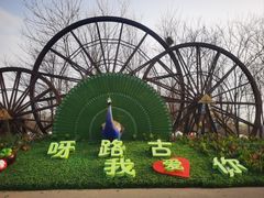 -呀路古热带植物园