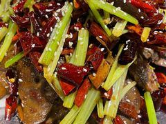 -尚府一品·烤鸭·新京菜(圆明园店)