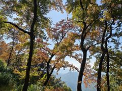 -广州市石门国家森林公园
