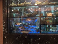 水产区-叙亨轩海鲜火锅