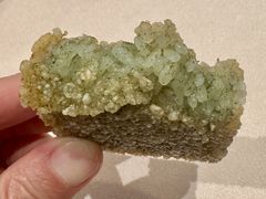 -高佳庄·海鲜酒楼(定海店)