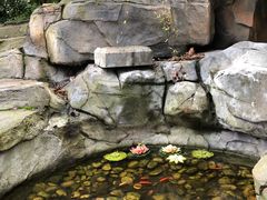 -茶博府公馆餐厅