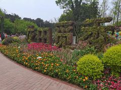 -铁山坪森林公园