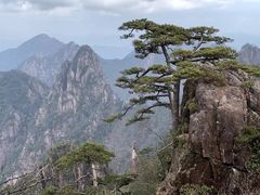 -黄山风景区