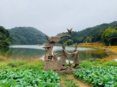 -广州市石门国家森林公园