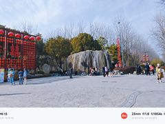 -合肥滨湖国家森林公园