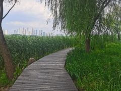 -渤公岛生态公园
