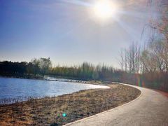 -大兴滨河森林公园