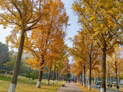 -四川大学(望江校区)