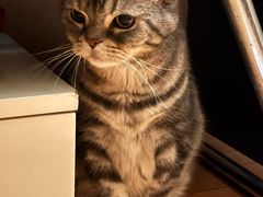 -达爱动物医院·犬猫分区·CT·复杂眼科(远洋山水分院)