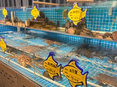 -韩记海鲜饺子旗舰店(红海新区店)