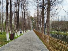 -洋湖国家湿地公园