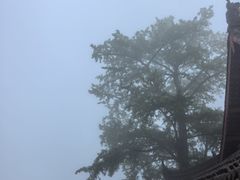 -金堂县云顶石城风景区