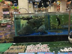 水产区-东江海鲜酒家(艺都分店)