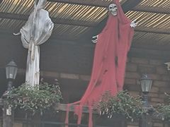 -Big Bamboo 大竹子体育主题餐厅(虹梅路店)