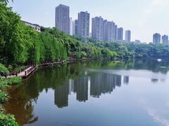 -重庆彩云湖湿地公园
