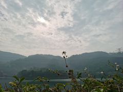 -水濂山森林公园