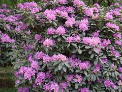 -名花谷生态庄园